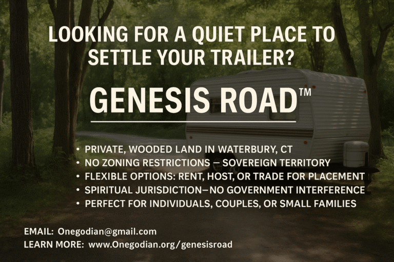 🌲 Looking for a Quiet Place to Settle Your Trailer?