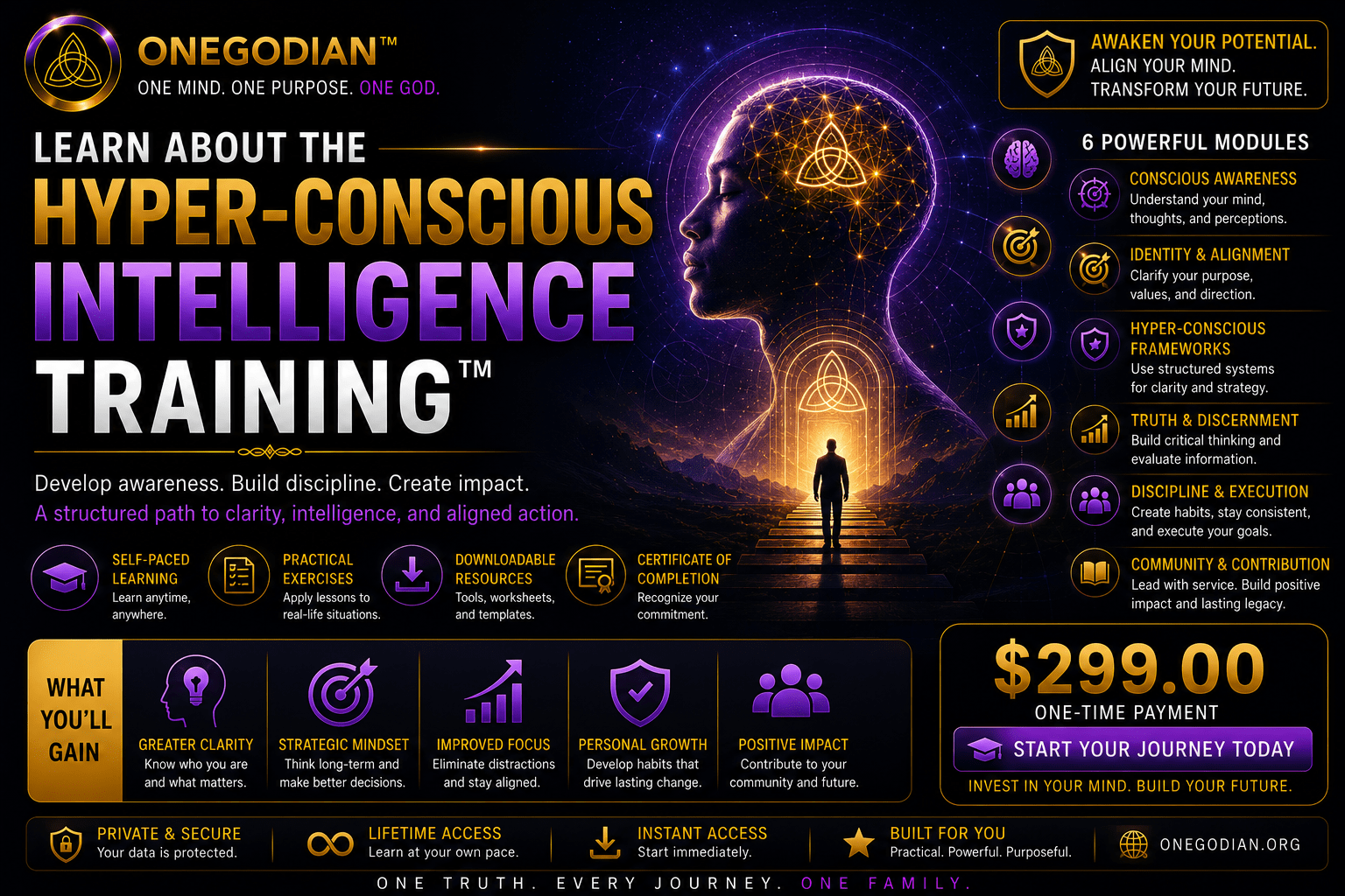Learn About the Hyper-Conscious Intelligence Training™